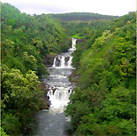 Umauma Falls Umauma Falls