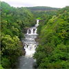 World Botanical Gardens and Umauma Falls